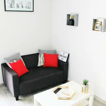 Апартаменты Bearnais T3 Renove - Compans Caffarelli - Centre *