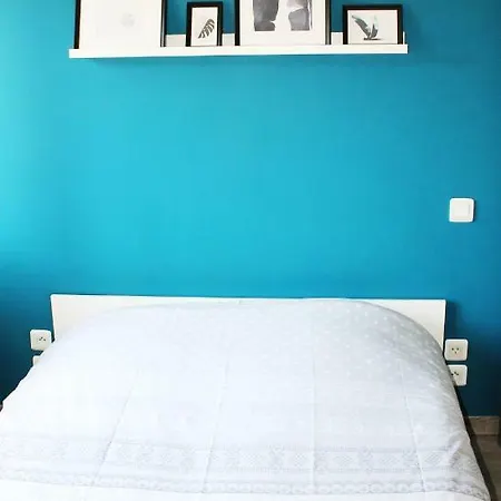 Апартаменты Bearnais T3 Renove - Compans Caffarelli - Centre *